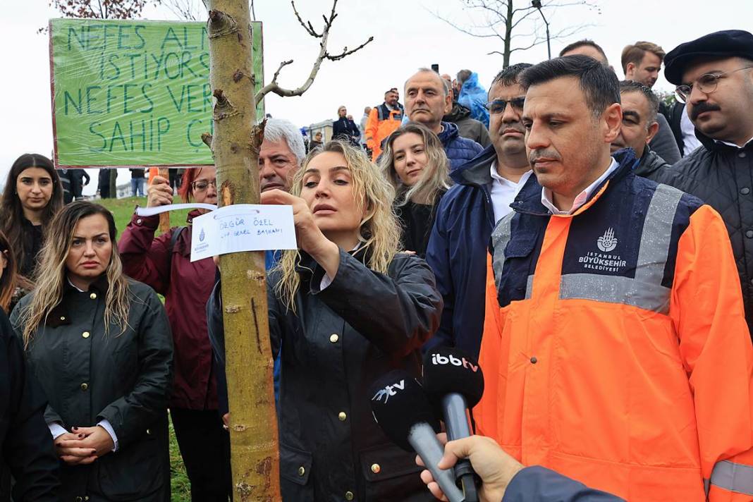 İstanbul'a 1111 'nefes' takviyesi yapıldı! Fıstık çamları ve zeytinler buluştu 2